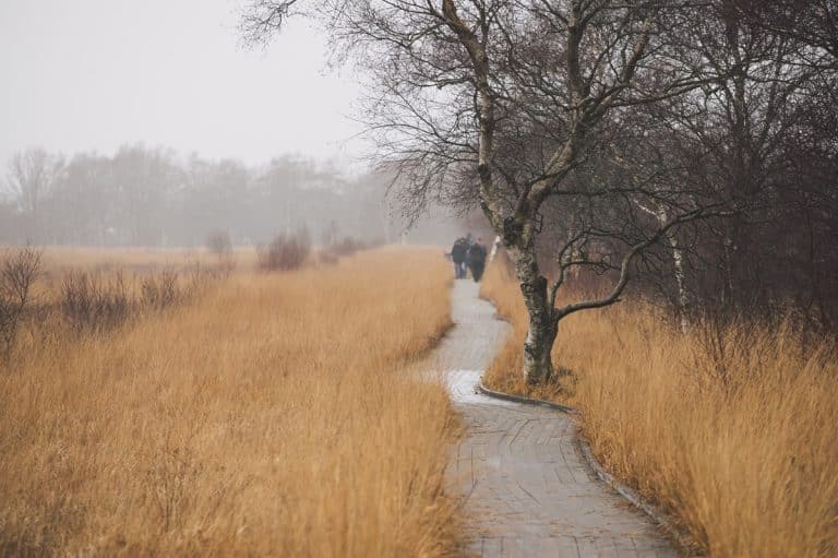 prognoza na poniedziałek