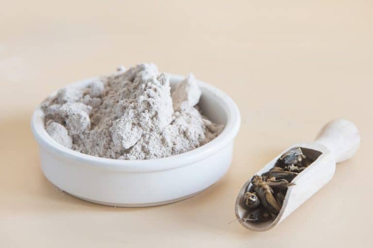 mąka z owad&oacute;w