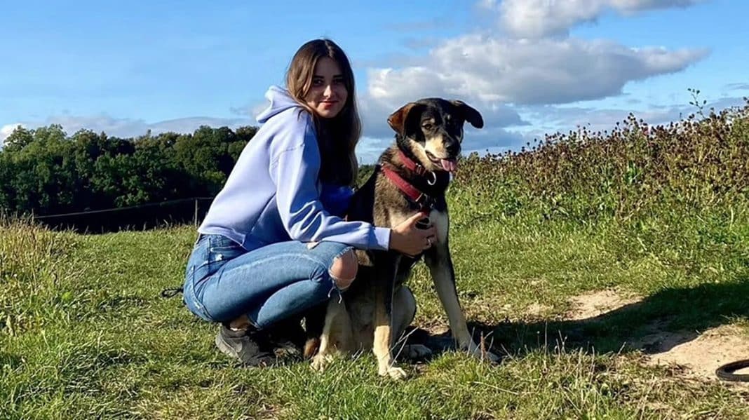 Pani Nikola poszukuje psów