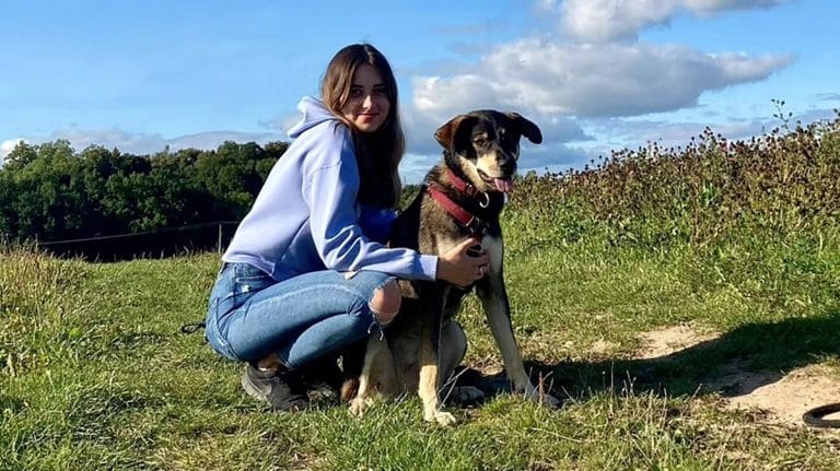 Pani Nikola poszukuje ps&oacute;w