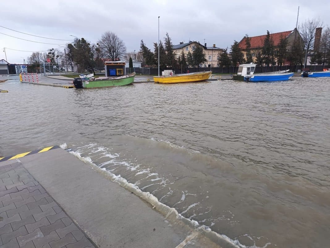 cofka w powiecie elbląskim