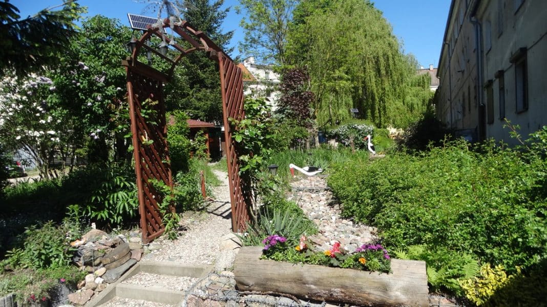 sąsiedzkie podwórko