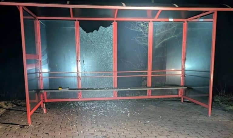 strzelał z wiatrówki do wiaty