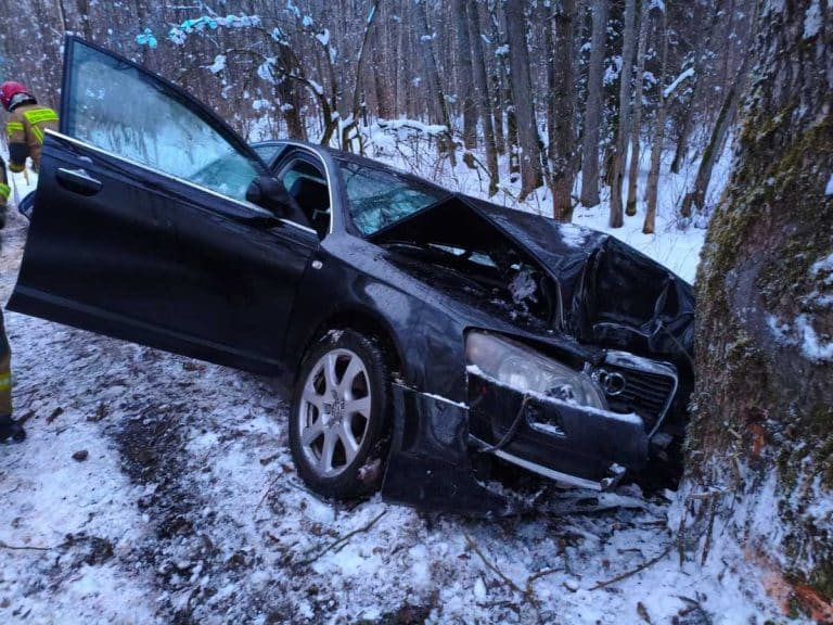 audi uderzyło w drzewo