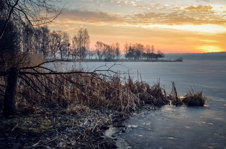 prognoza na 16 lutego