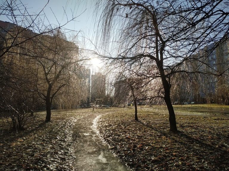 Prognoza na 17 lutego