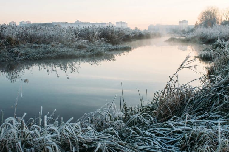prognoza na 14 lutego