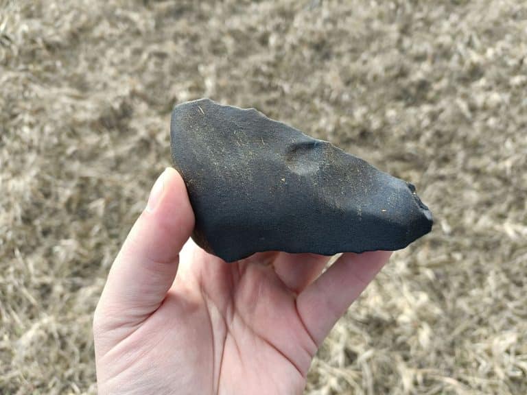 niezwykłe znalezisko na Warmii