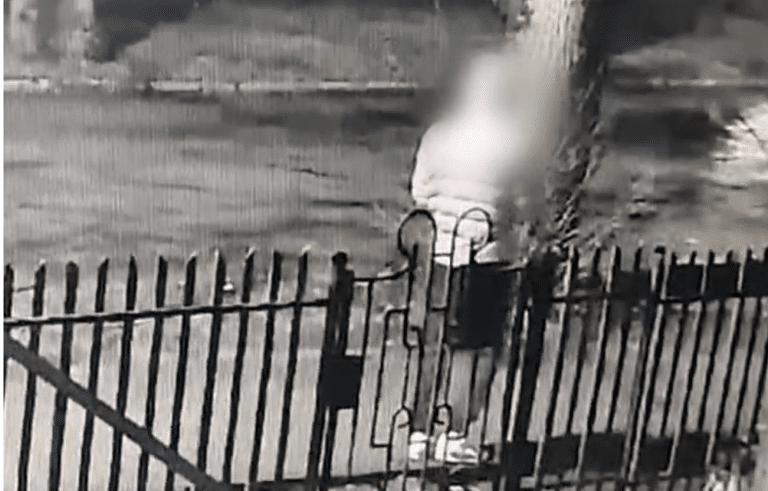 chciał otruć psy. Został nagrany