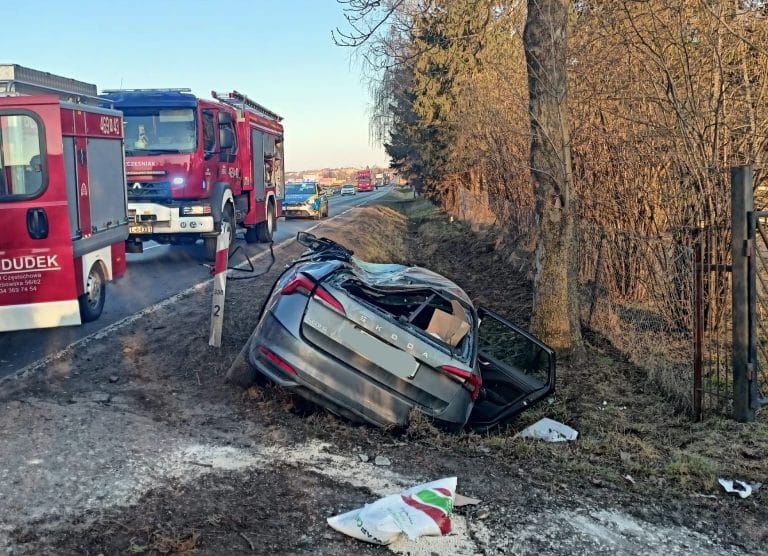 skoda uderzyła w drzewo