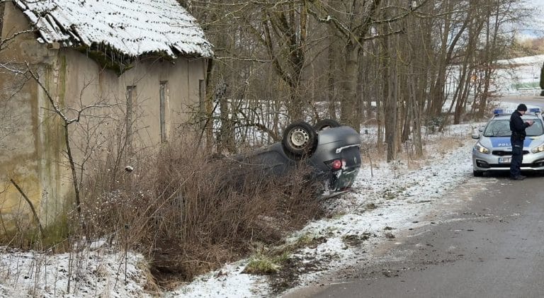 dachowanie volkswagena