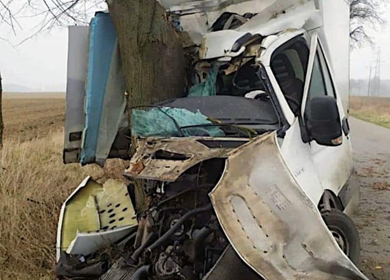 iveco uderzyło w drzewo
