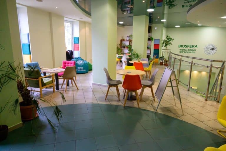 strefa relaksu na UWM