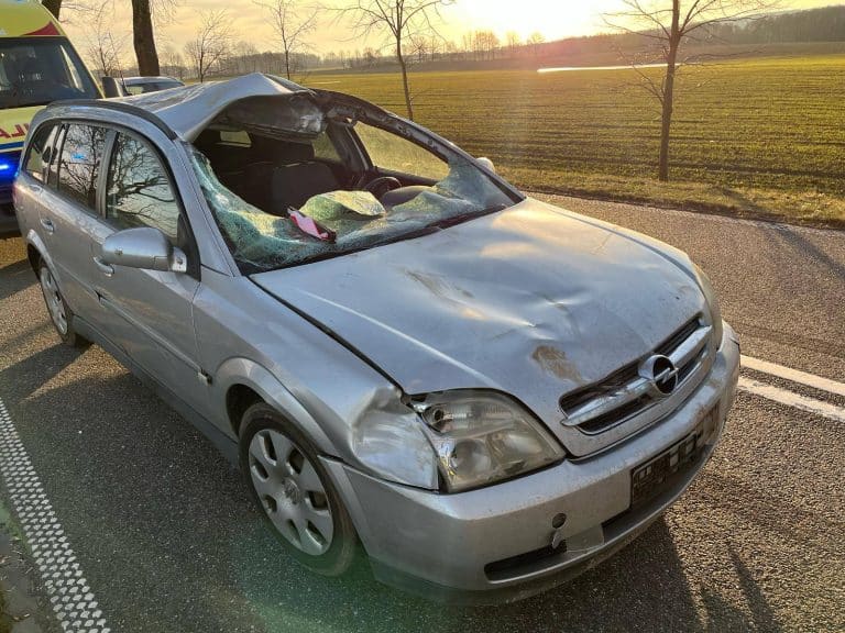 uszkodzenia auta po zderzeniu z łosiem