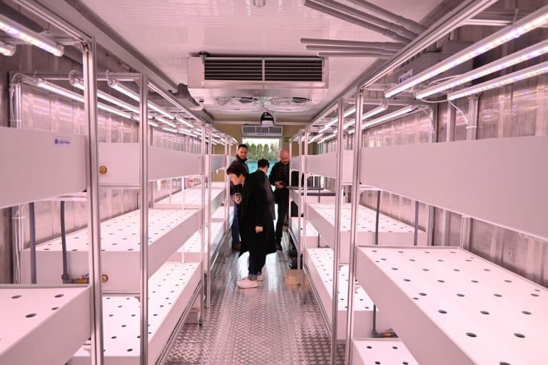 Czy tak będziemy uprawiać żywność w miastach? Olsztyn już to sprawdza!