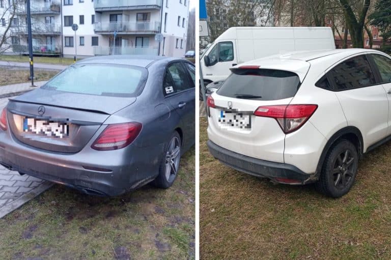 parkowanie na trawnikach