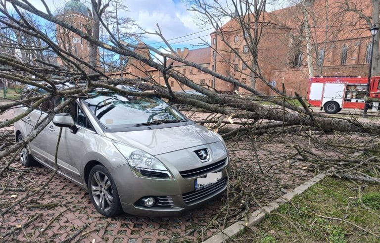 drzewo spadlo na samochod