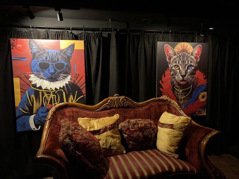 nowy klub w Olsztynie