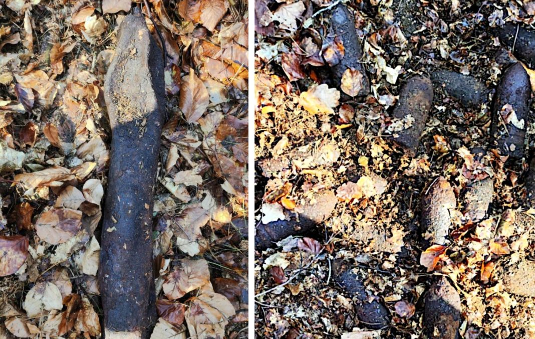 Pociski znalezione w lesie.