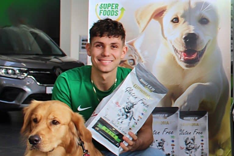 zbiórka karmy w castoramie