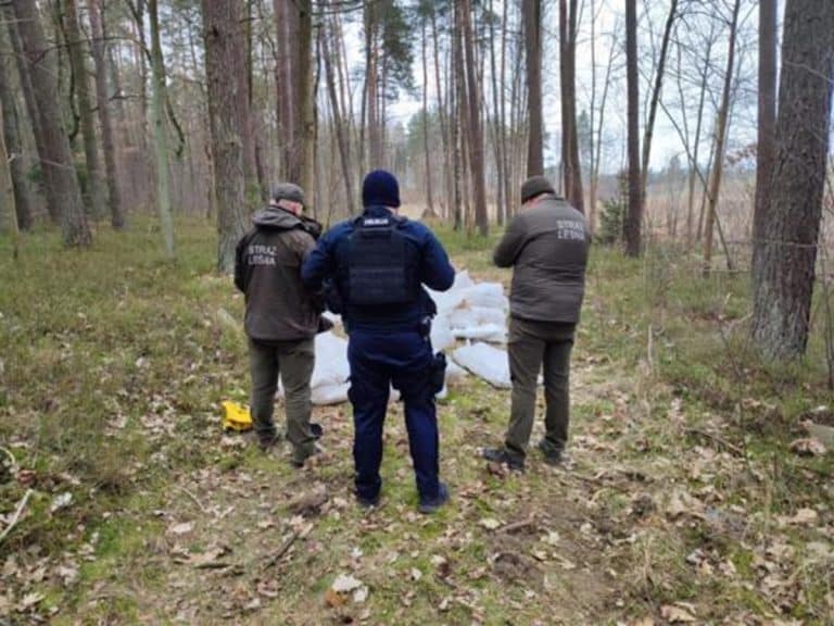 porzucone martwe kury