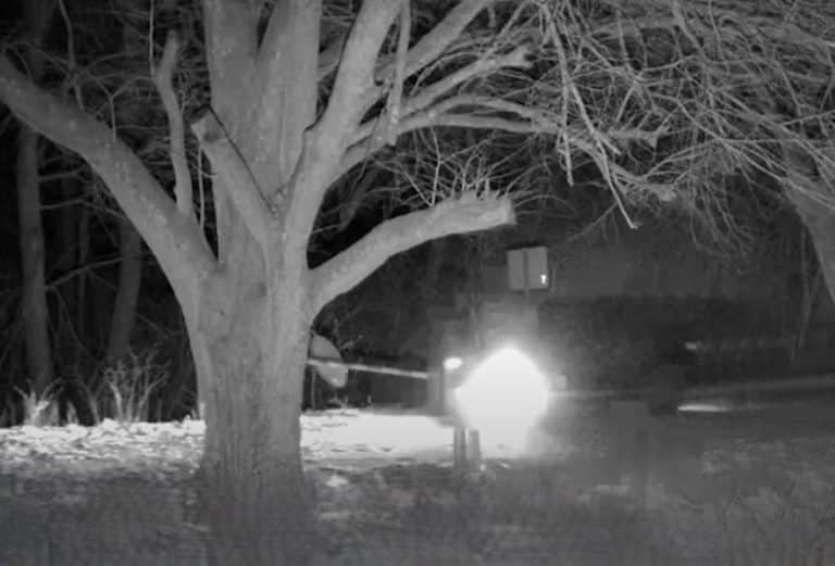 staranował szlaban na granicy