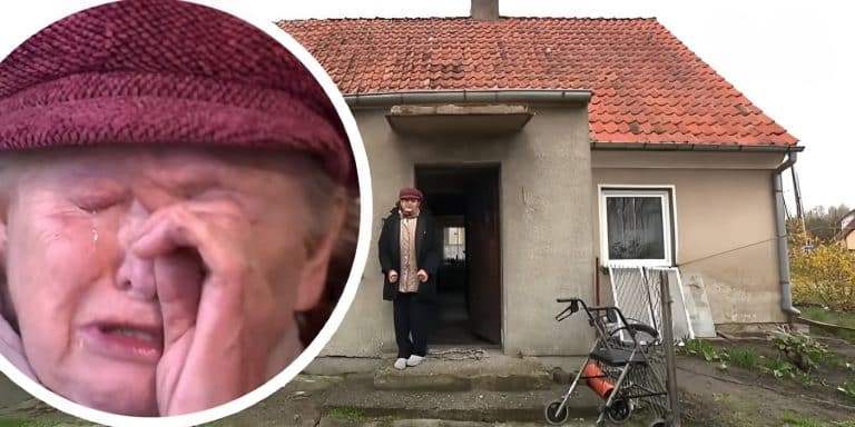 pani zofia w programie czyste powietrze