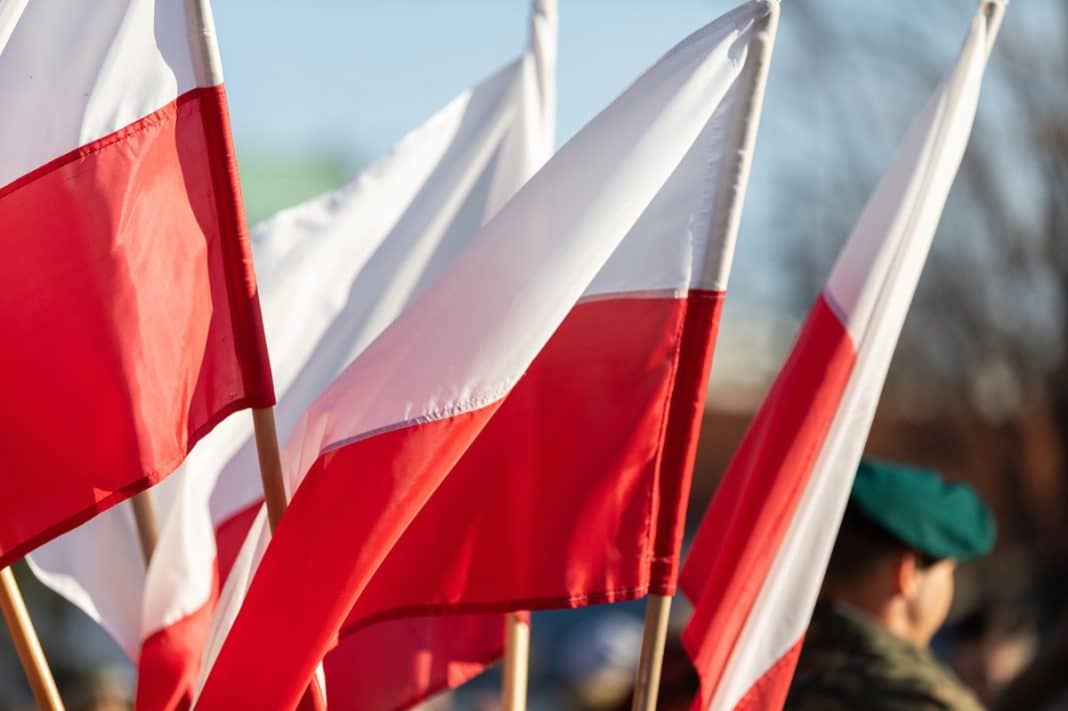 polskie flagi