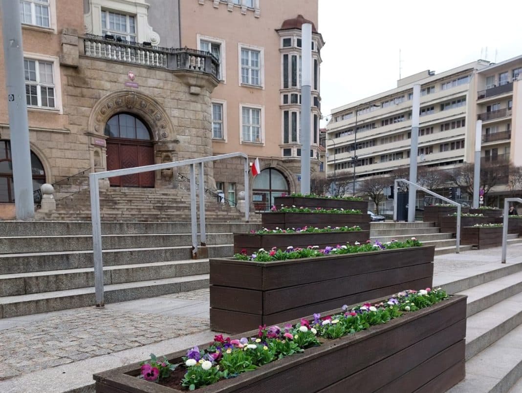 kwiatki pod ratuszem