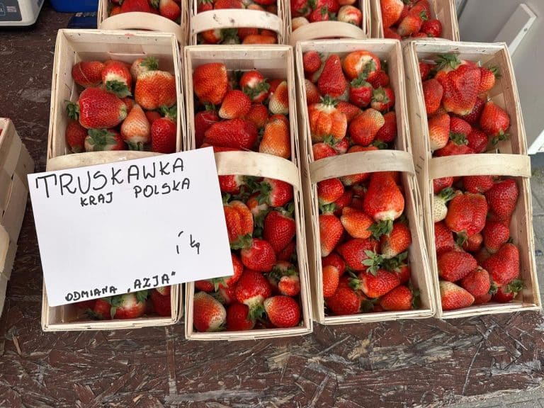 truskawki