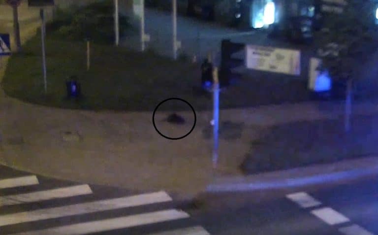 b&oacute;br w centrum miasta