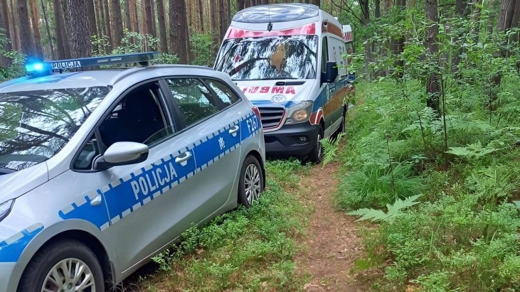 interwencja policji w lesie