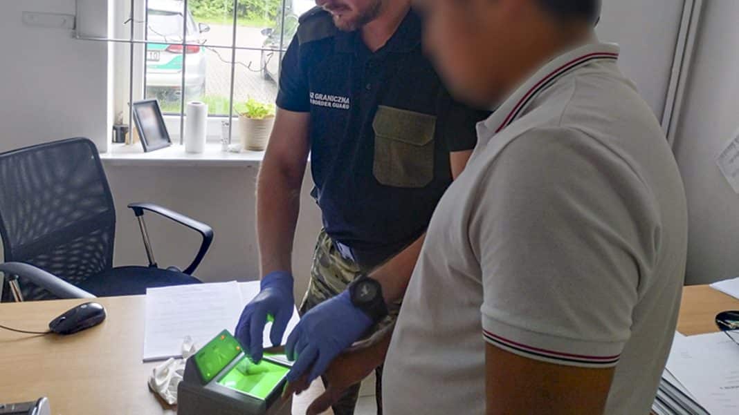 straż graniczna kontroluje cudzoziemców