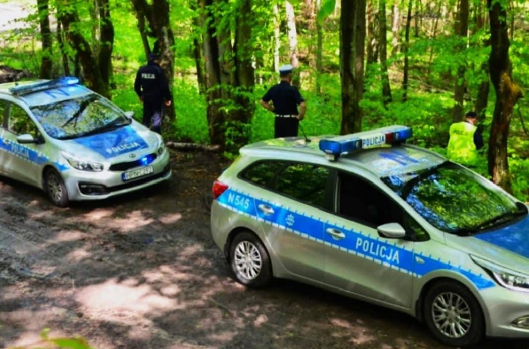 poszukiwania w lesie