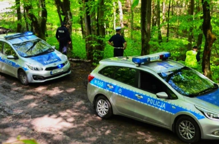 poszukiwania w lesie
