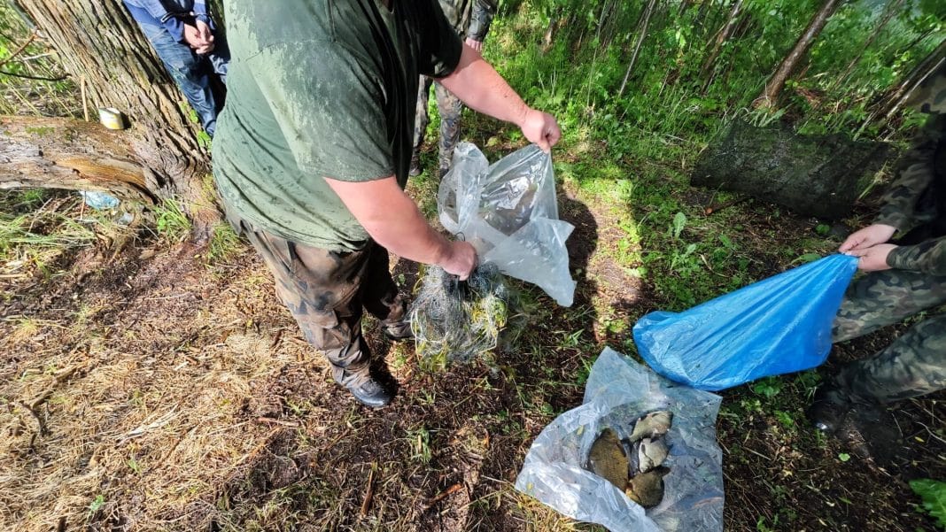 zatrzymanie kłusowników