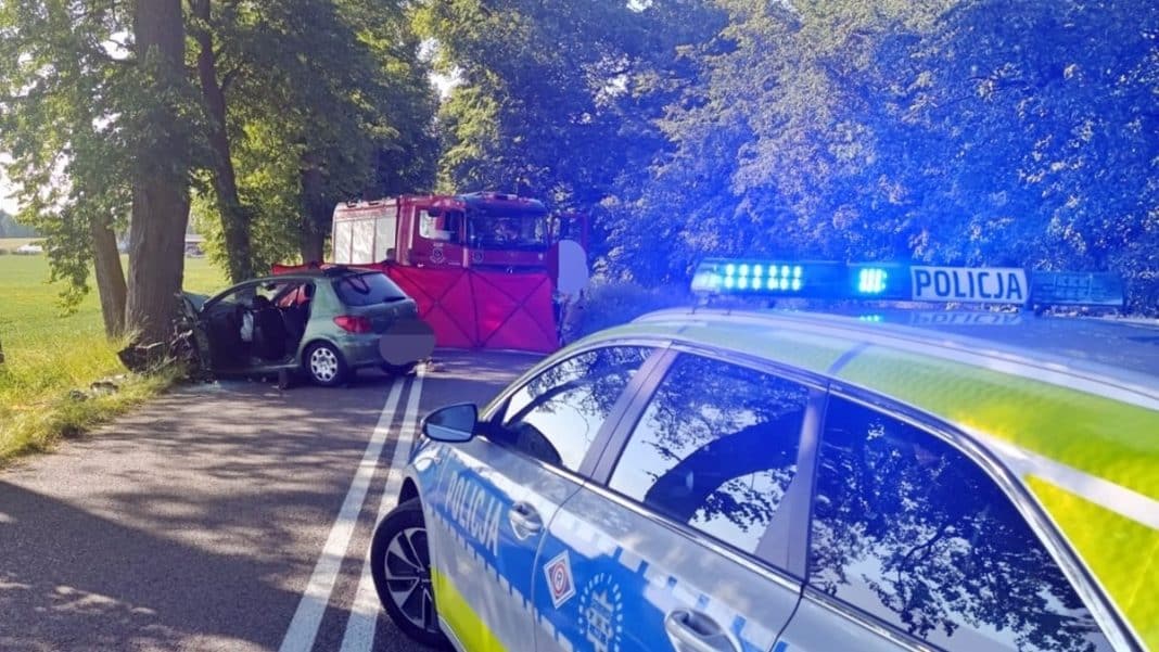 peugeot rozbił się na drzewie