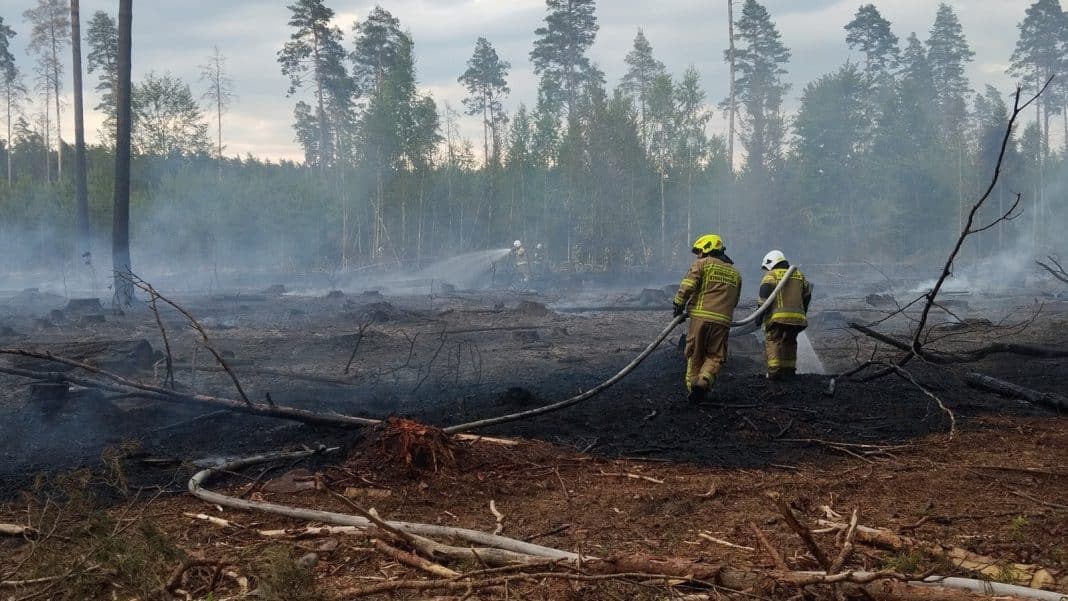 Pożar lasu