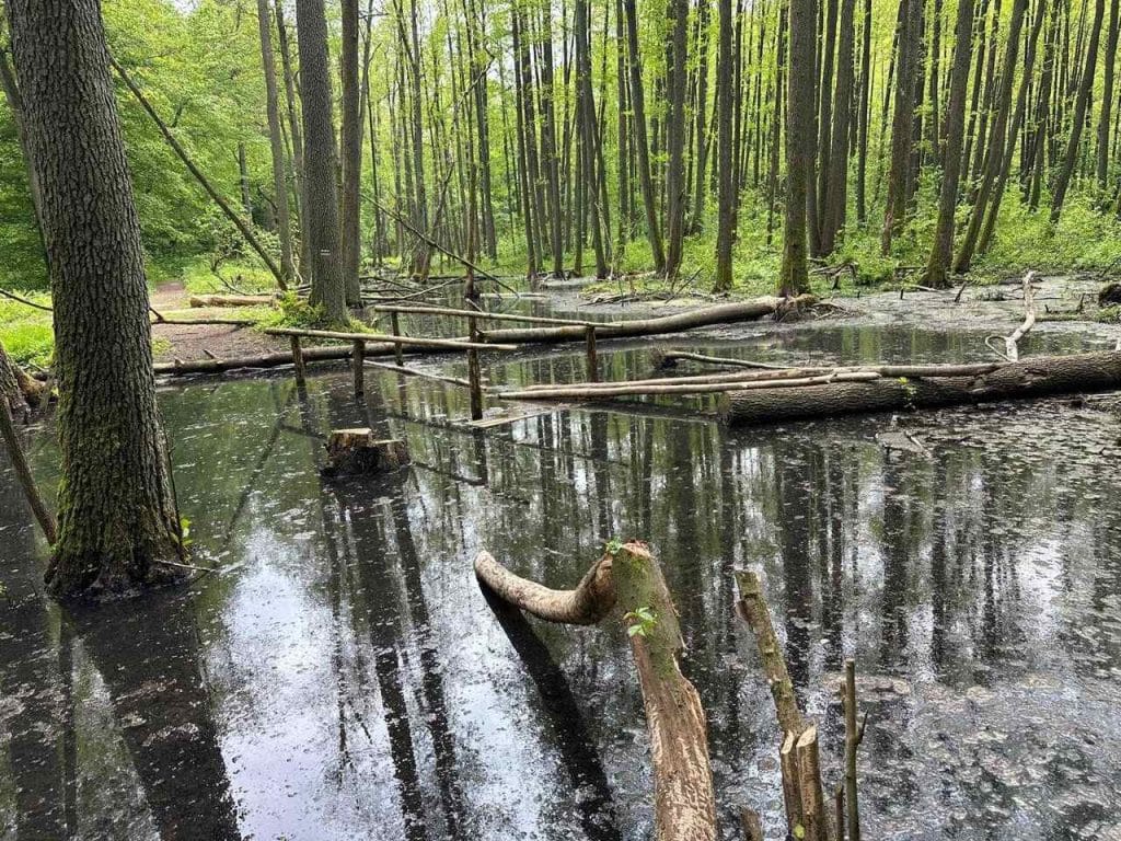 Czy nasza Łyna jest zagrożona? - Rzeka Łyna może całkiem wyschnąć? Turyści nie mają wstępu do źródeł