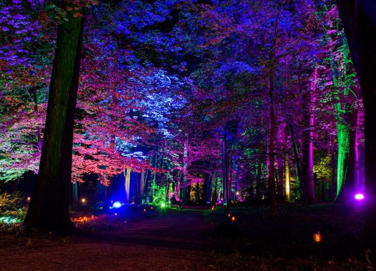 Kortowski Park Światła