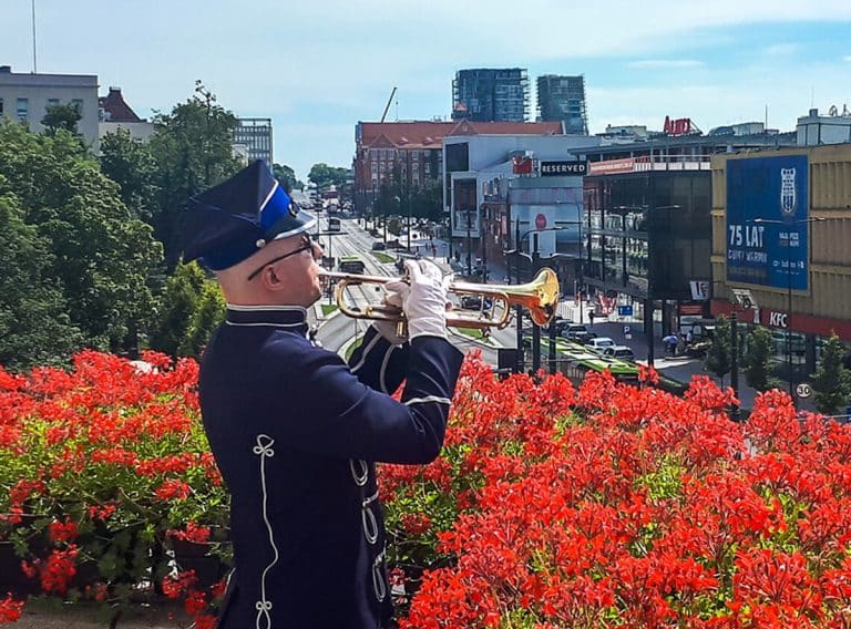 hejnalista na wieży ratusza