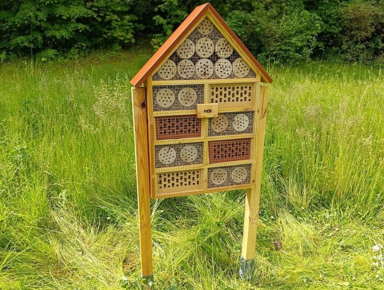 domek dla owad&oacute;w