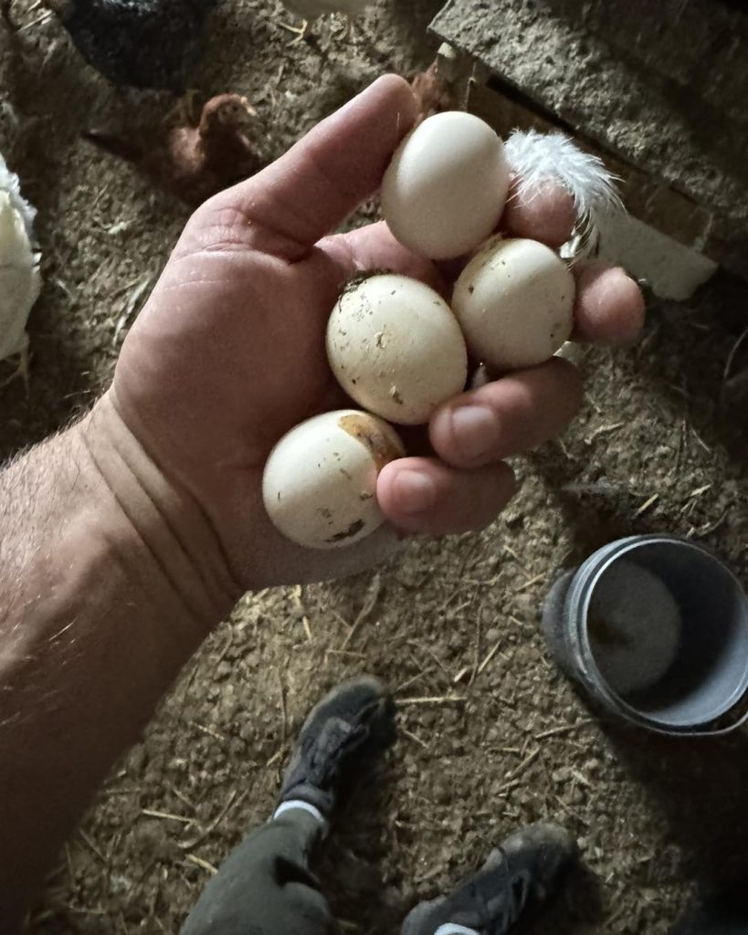 Turborolnik z Warmii podbija internet. - Kulturysta został królem jaj. Oto sekret sukcesu Turborolnika