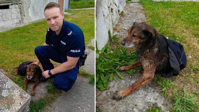 policjant i uratowany pies