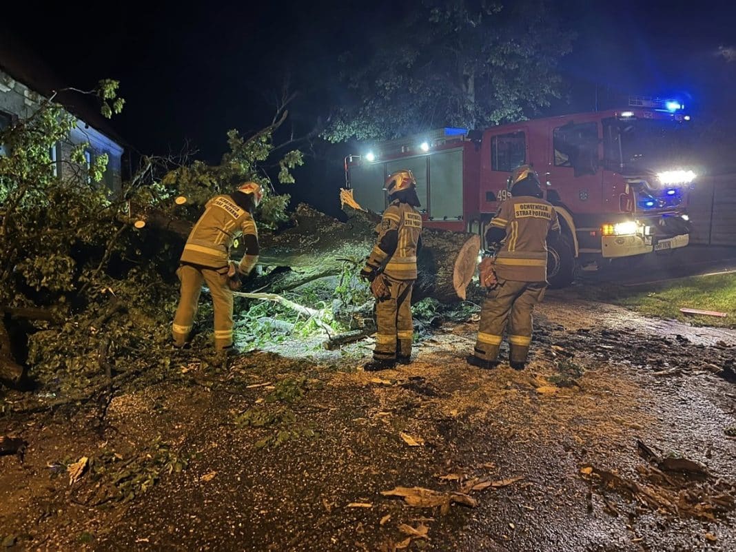 powalone drzewo podczas burzy