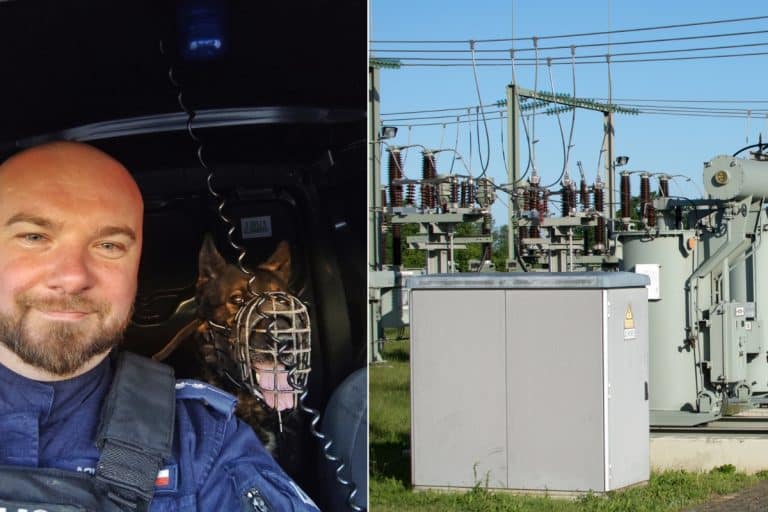 policjant z psem złapał złodzieja miedzi