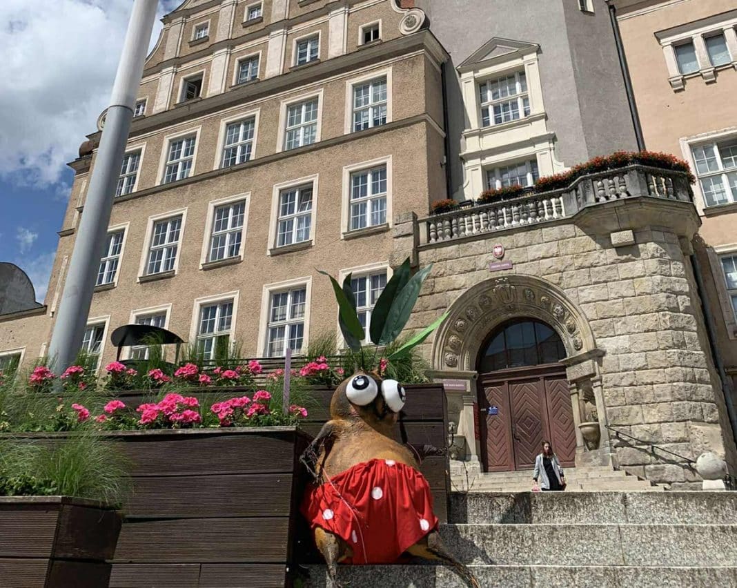 wyrwasy opanowały Olsztyn