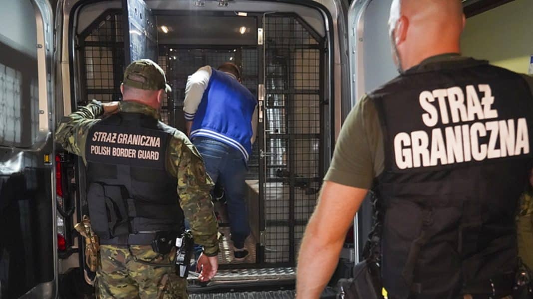 wydalenie obcokrajowców z Polski