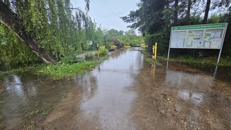 rzeka Łyna wylewa