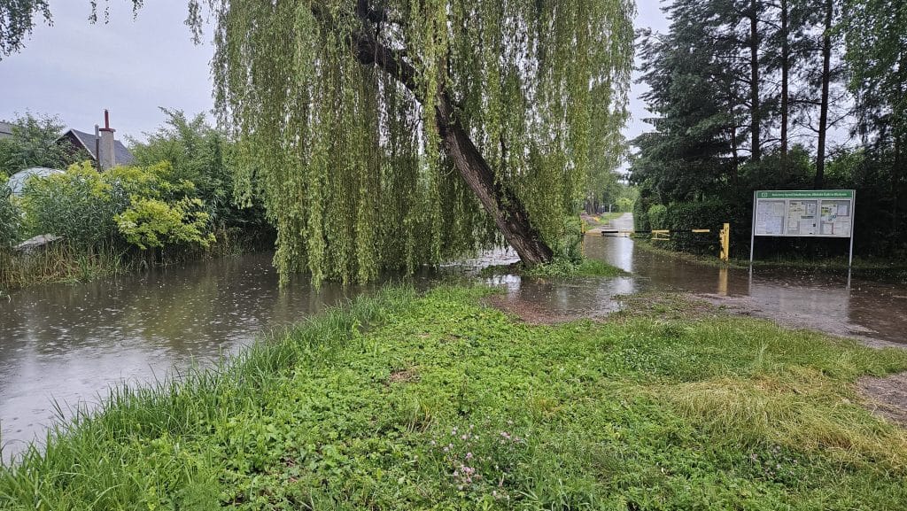 Łyna wylała w Olsztynie! Neiktóre miejsca wyłączają prąd. - Łyna w Olsztynie wystąpiła z brzegów, służby ostrzegają przed podtopieniami